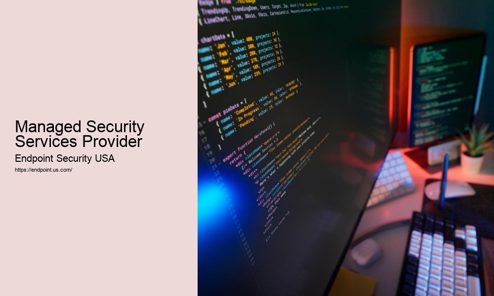 Managed Security Services Provider