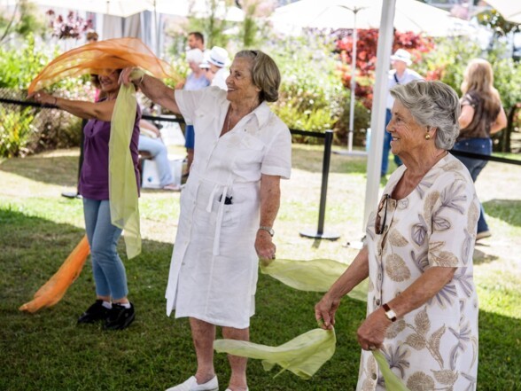 ALBUM - Parcours de la forme
