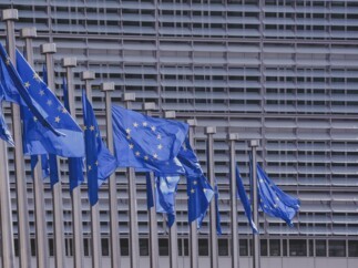 Europawahlen – Ein Referendum für die Europäische Union?