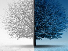 Das Anlagepuzzle mit realen Renditen