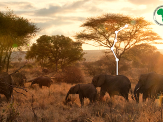 Der Klimawandel in Afrika muss finanziert werden