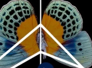 13 von 18 Branchen im FTSE 100 tragen stark zum Biodiversitätsverlust bei – Investoren können Risiken durch MSA-Metrik besser bewerten