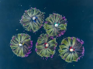 Hypothèses pour les marchés de capitaux en 2025 - Scénarios et prévisions de rendements à dix ans dans un monde en mutation