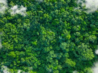 Amundi lance un nouveau fonds article 9 Amundi Responsible Investing - Impact Euro Corporate Green Bonds