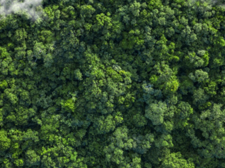 Amundi publishes its 2024 Green Bonds Impact Report evaluating the positive impact of its green bond strategies