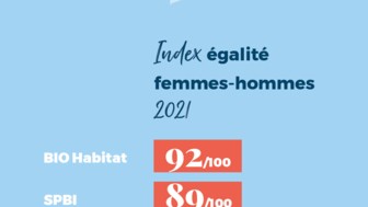 Index Egalite Femmes-Hommes 2021 FR.jpg