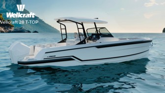 Wellcraft 28 T-TOP