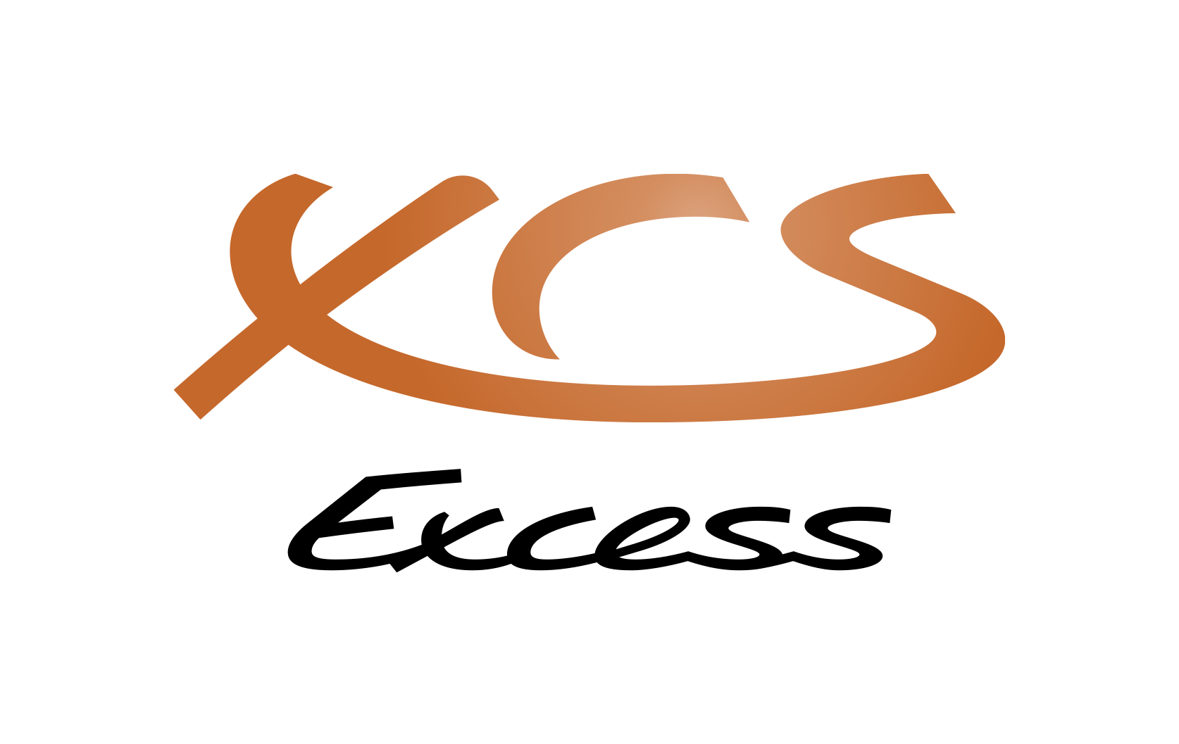 Logo EXCESS