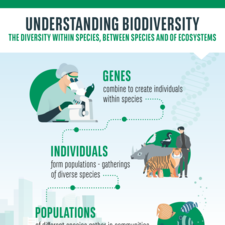 Biodiversity-Infographic-02.pdf