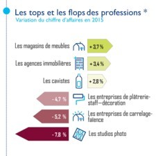 Infographie - Observatoire de la Petite Entreprise - Tops et Flops des TPE 2015 - Banque Populaire / FCGA