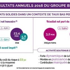 Infographie - PNB, RAI et RNPG 2016 - Résultats 2016 du Groupe BPCE