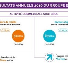 Infographie - Activité commerciale 2016 - Résultats 2016 du Groupe BPCE