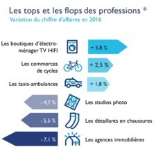 Infographie - Les Tops et Flops des TPE 2016 - FCGA / Banque Populaire