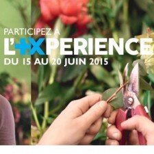 Visuel 1 - L'+xperience Banque Populaire