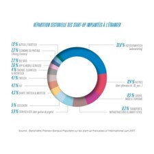 Visuel Pramex - Banque Populaire : répartition sectorielle des start-up implantés à l'étranger