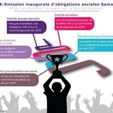 Infographie Samouraï