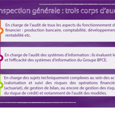 L'Inspection générale : trois corps d'audit