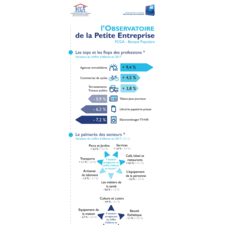 Infographie - Les Tops et Flops des TPE 2017 - FCGA / Banque Populaire