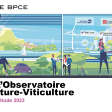 BPCE L'Obs Agriculture-viticulture 2023 VF.pdf