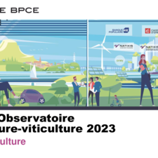 BPCE L'Obs Focus viticulture 2023 VF.pdf