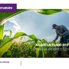 20250618_BPCE L'Obs_4e édition de l'étude Agriculture-Viticulture 2025.pdf