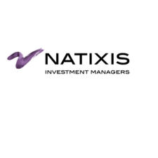 Logo NATIXIS_Investment-Managers
