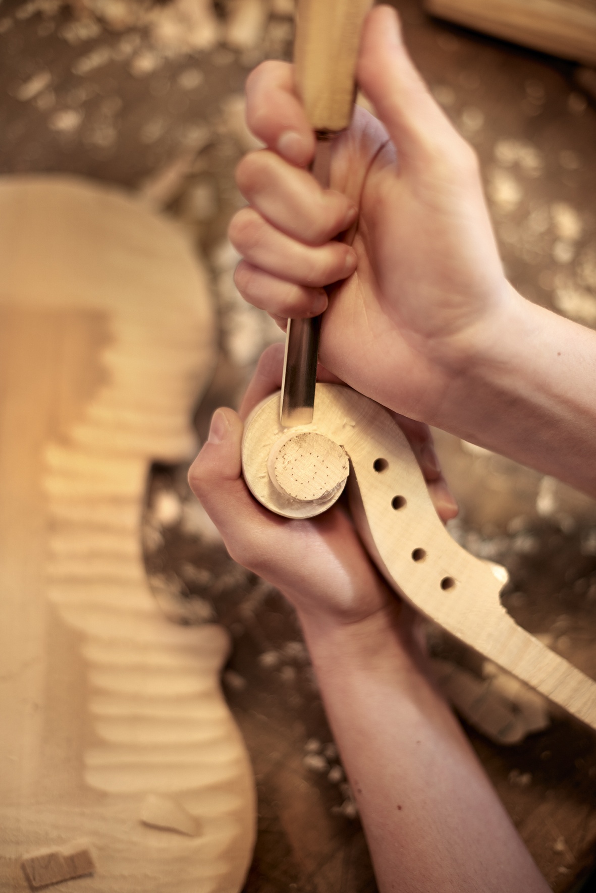 Geste luthier L'+xpérience Banque Populaire