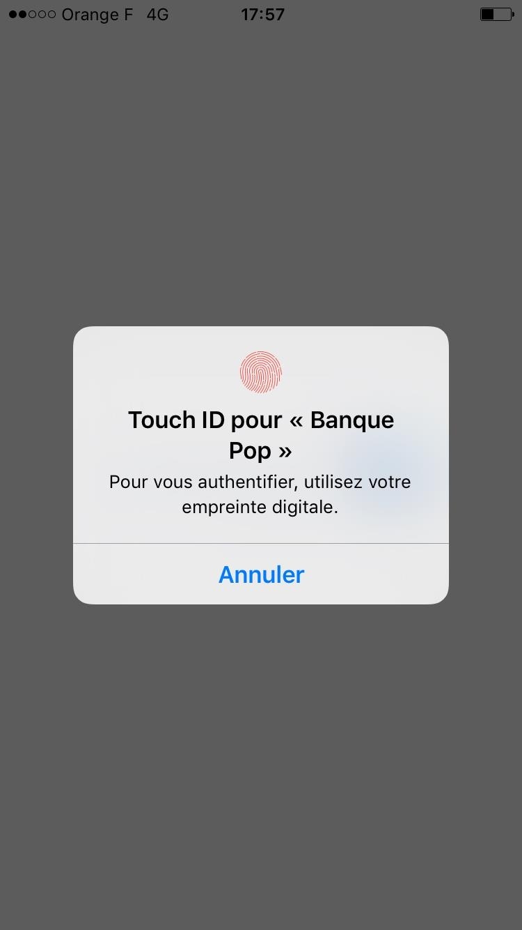 Illustration Touch ID application professionnelle Banque Populaire 2
