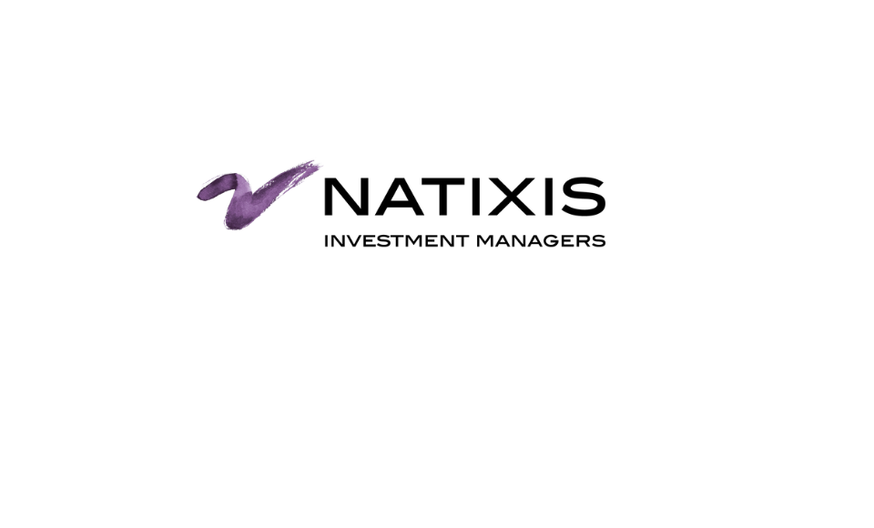 Logo Natixis Investment Management