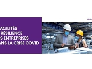 Analyse économique : Fragilités et résilience des entreprises dans la crise Covid