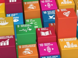 IDFC appoints Natixis Corporate & Investment Banking to develop a SDGs alignment framework for Public Development Banks