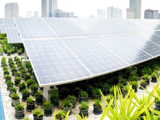 CVE Chile and Natixis sign $95 million facility to finance a selected portfolio of photovoltaic plants in Chile