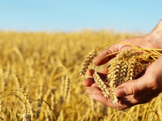 Agrial et Natixis signent la 1re facilité de crédit à dimension Responsabilité Sociale et Environnementale pour une coopérative agricole française