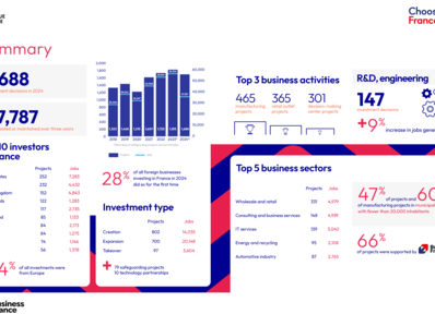 Summary 2024 Annual Report (infographic)