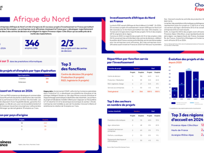 Bilan 2024 - 26 Fiches pays