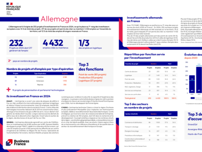 Bilan 2024 / fiche pays : Allemagne