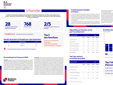 Bilan 2024 / fiche pays : Irlande