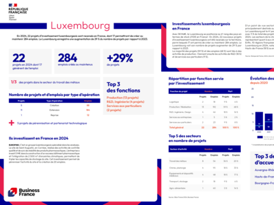 Bilan 2024 / fiche pays : Luxembourg