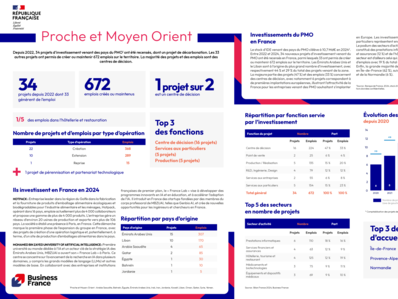 Bilan 2024 / fiche pays : Proche et Moyen Orient