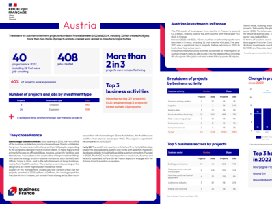 Annual report 2024 / Country fact sheet : Austria