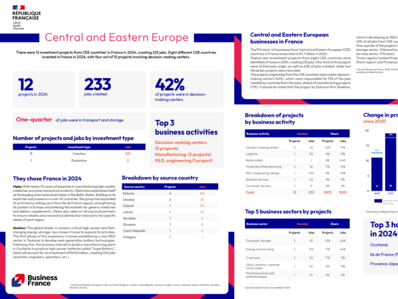 Annual report 2024 / Country fact sheet : Central and Eastern Europe