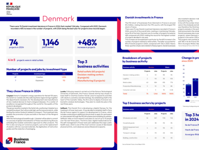 Annual report 2024 / Country fact sheet : Denmark