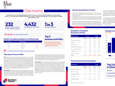 Annual report 2024 / Country fact sheet : Germany