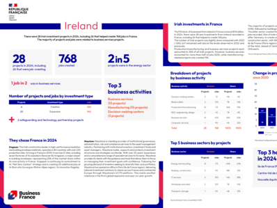 Annual report 2024 / Country fact sheet : Ireland