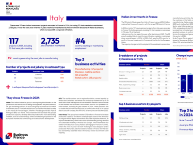 Annual report 2024 / Country fact sheet : Italy