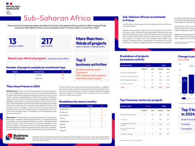 Annual report 2024 / Country fact sheet : Sub-Saharan Africa