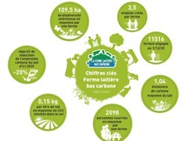 Infographie chiffres clés Ferme Laitière Bas Carbone - 2020