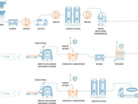 Beurre -  Process de fabrication