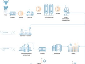 Crème - Process et fabrication