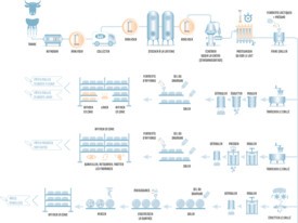 Fromage - Process et fabrication